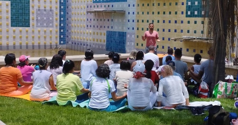 Actividades grupales 13