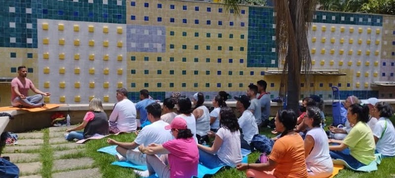 Actividades grupales 14