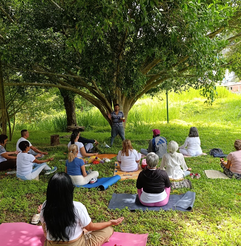 Actividades grupales 18