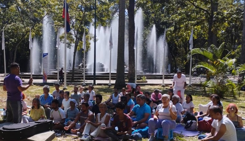 Actividades grupales 20