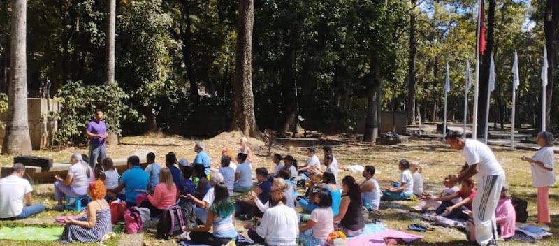 Actividades grupales 21
