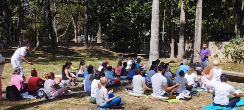 Actividades grupales 22