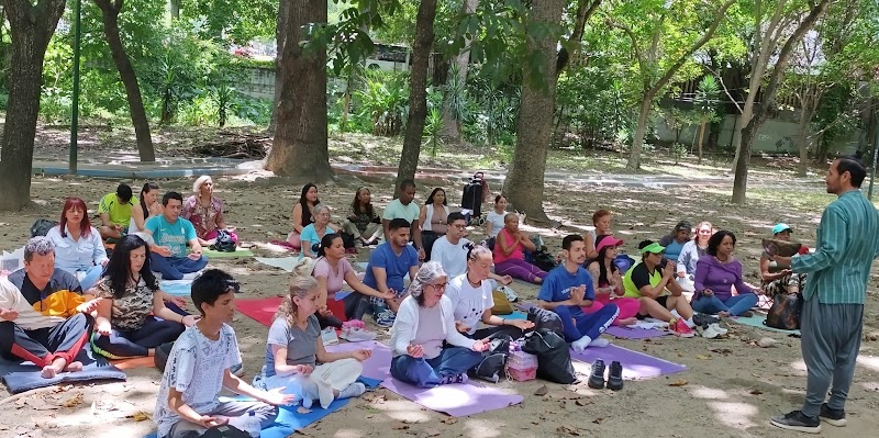 Actividades grupales 24