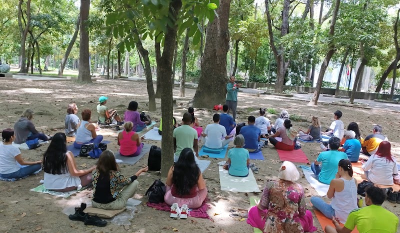 Actividades grupales 25