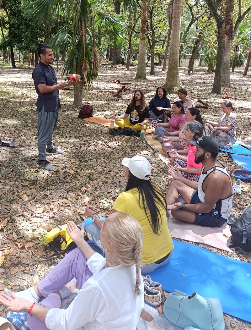 Actividades grupales 26
