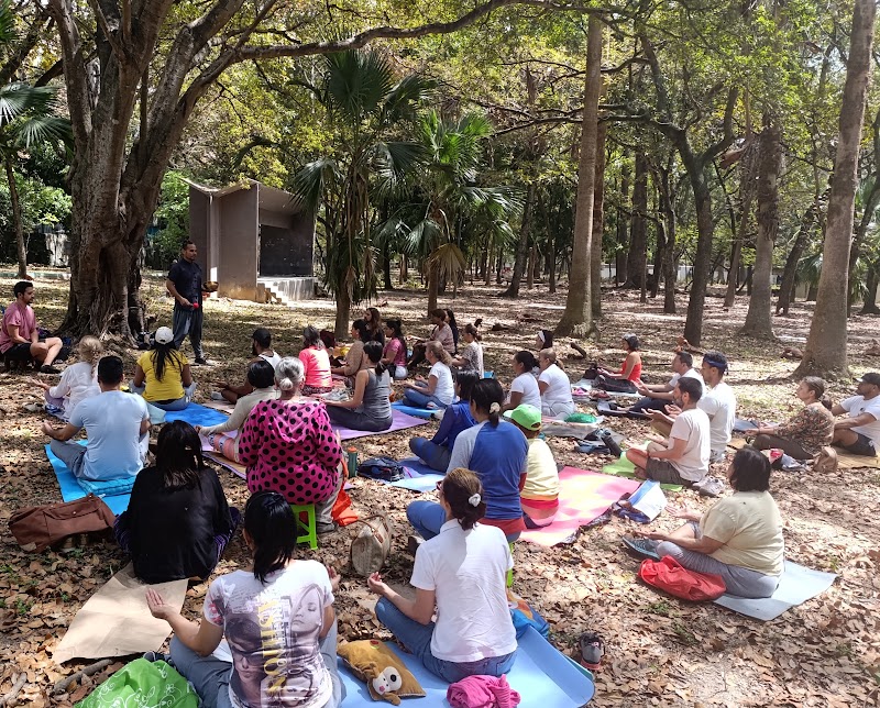 Actividades grupales 27