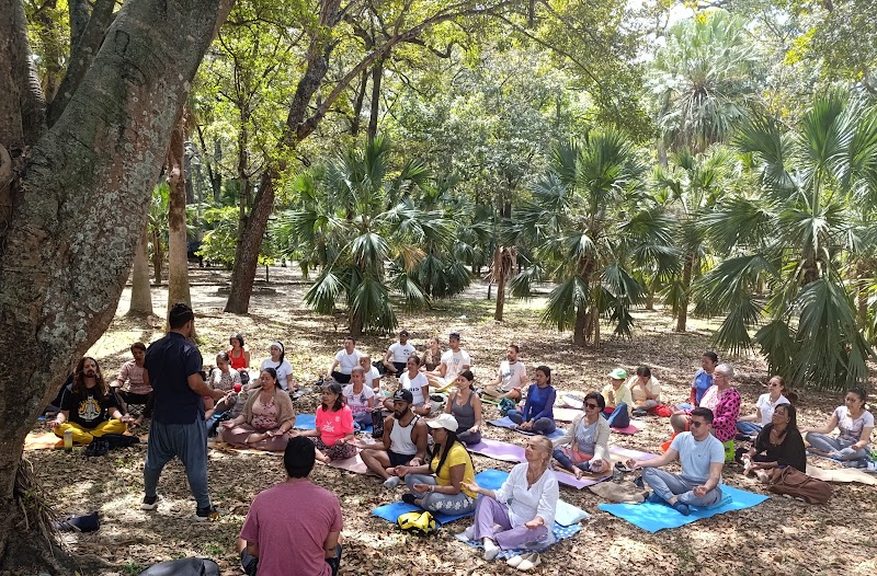 Actividades grupales 28