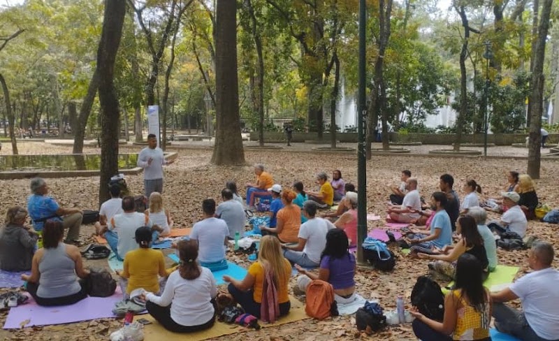 Actividades grupales 32