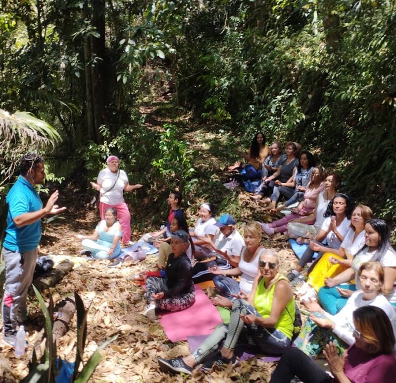Actividades grupales 33