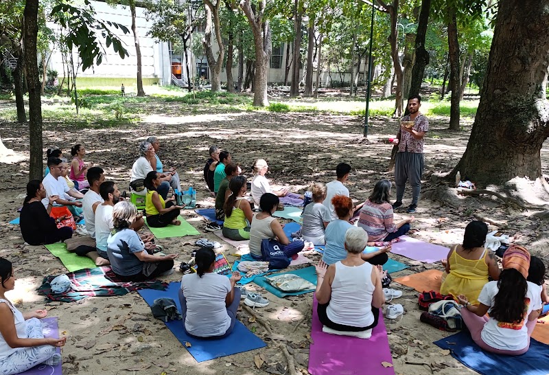 Actividades grupales 35