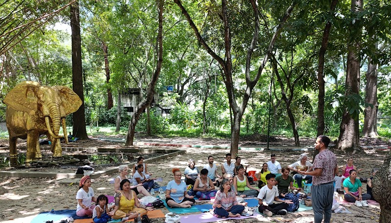 Actividades grupales 36