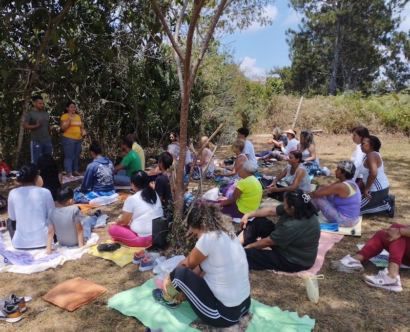 Actividades grupales 37