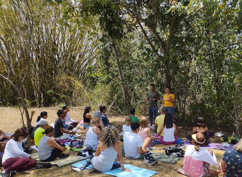 Actividades grupales 38