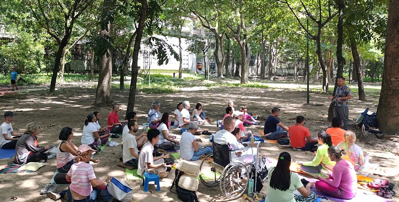 Actividades grupales 39