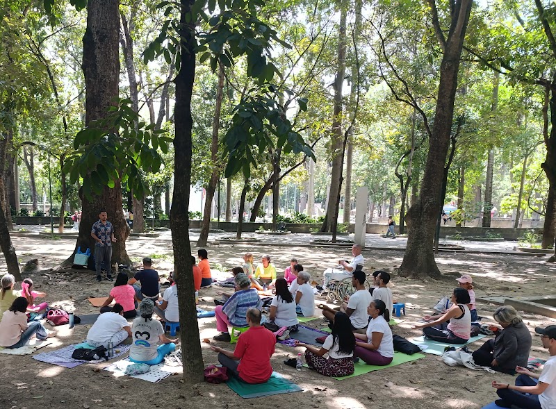 Actividades grupales 40