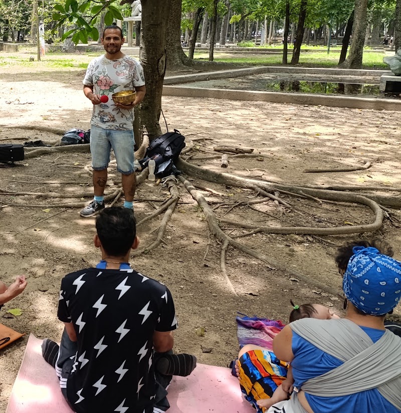 Actividades grupales 41