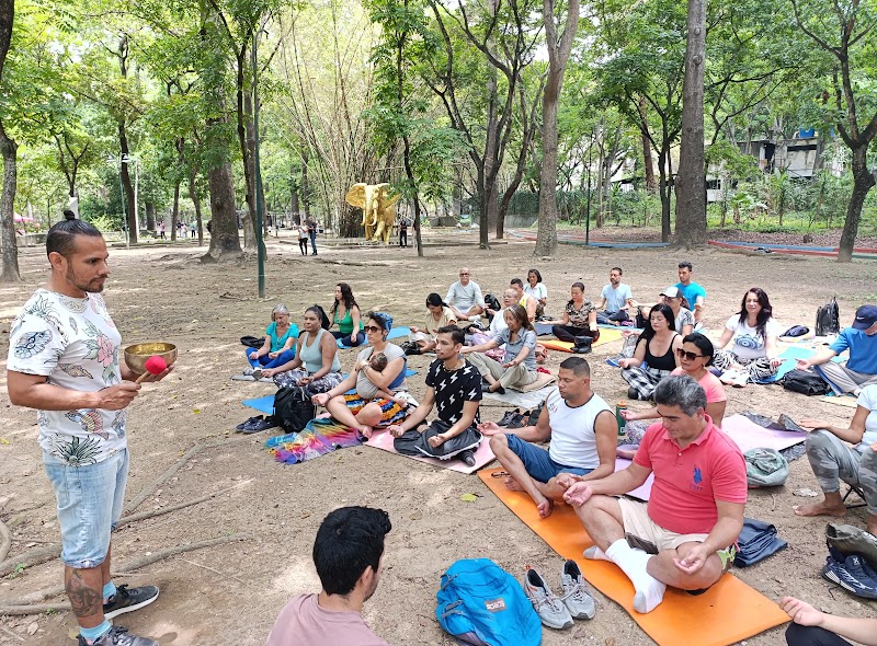 Actividades grupales 42