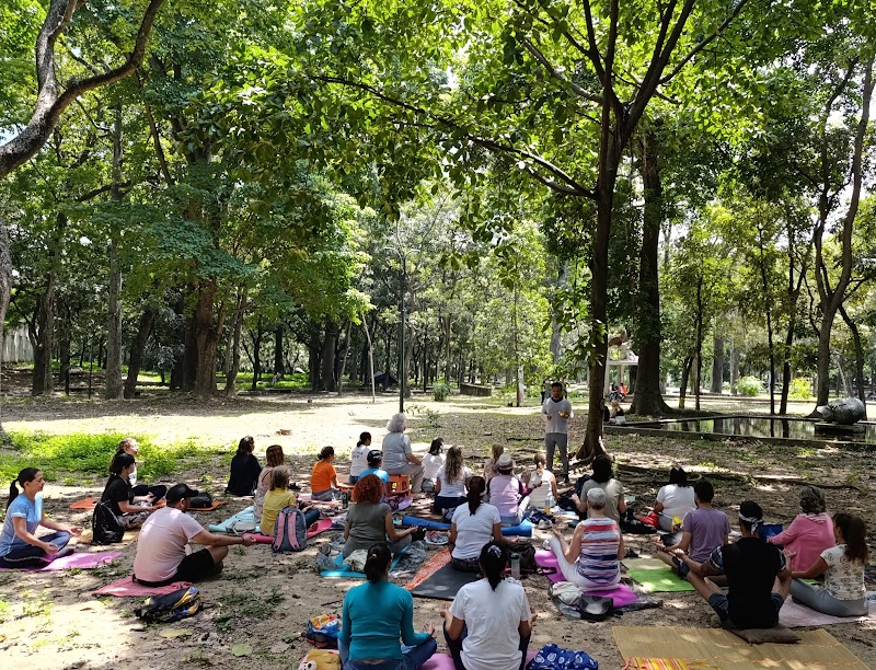 Actividades grupales 44