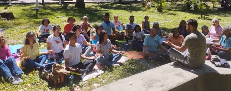 Actividades grupales 50