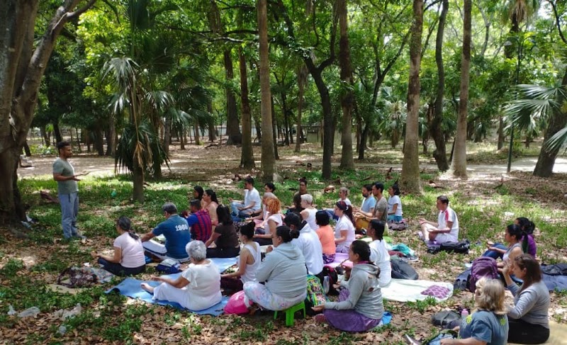 Actividades grupales 52