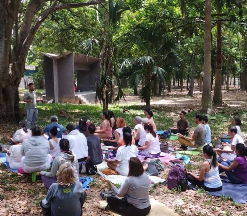 Actividades grupales 53