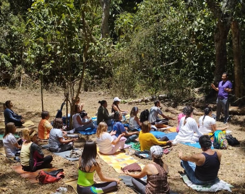 Actividades grupales 54