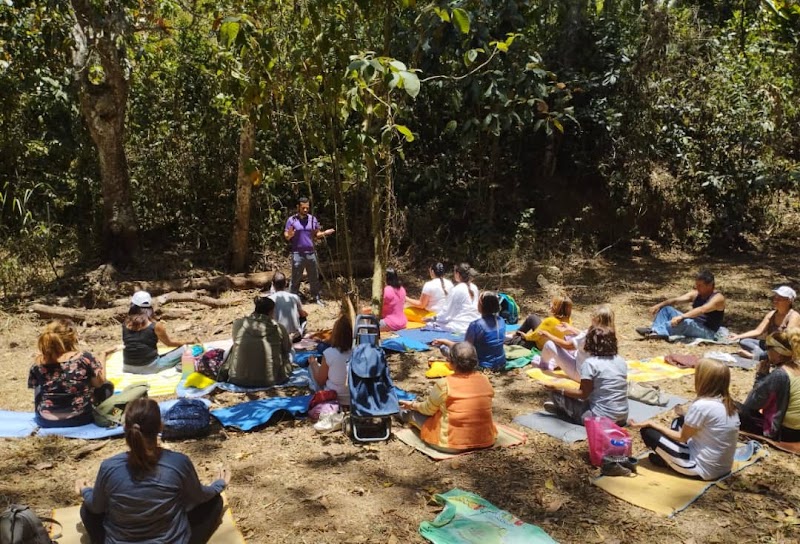 Actividades grupales 55