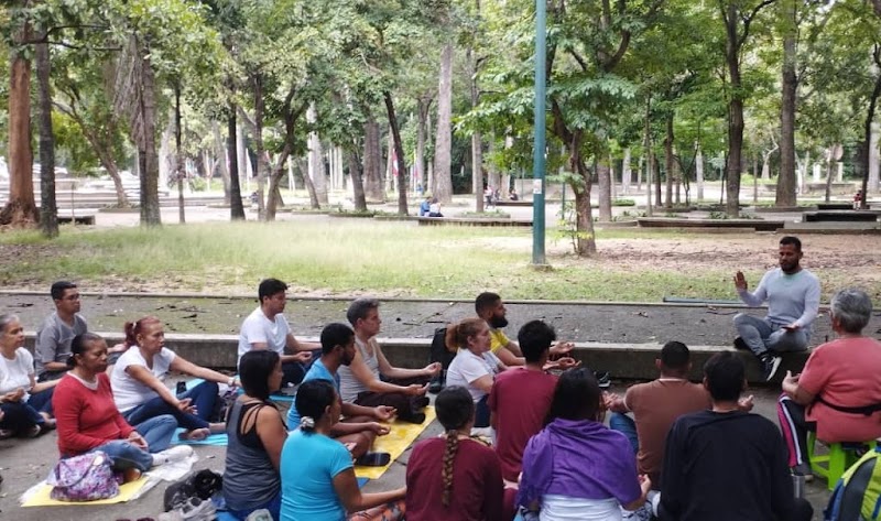 Actividades grupales 56