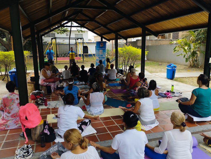 Actividades grupales 8